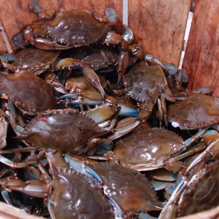 A basket of crabs